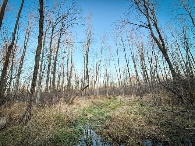 8188 104a, Wolcott, NY 14590