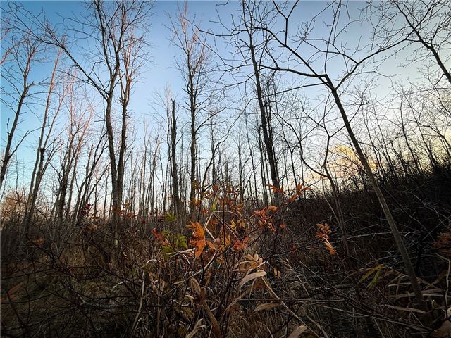 8188 104a, Wolcott, NY 14590