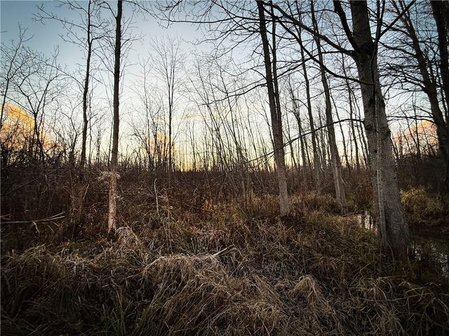 8188 104a, Wolcott, NY 14590