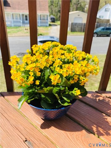 3408 Shady Creek Rd, North Chesterfield, VA 23234