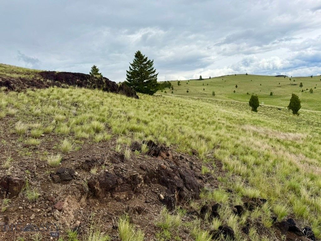 3072 Wildhorse Meadow, Ramsay, MT 59748 — photo 3