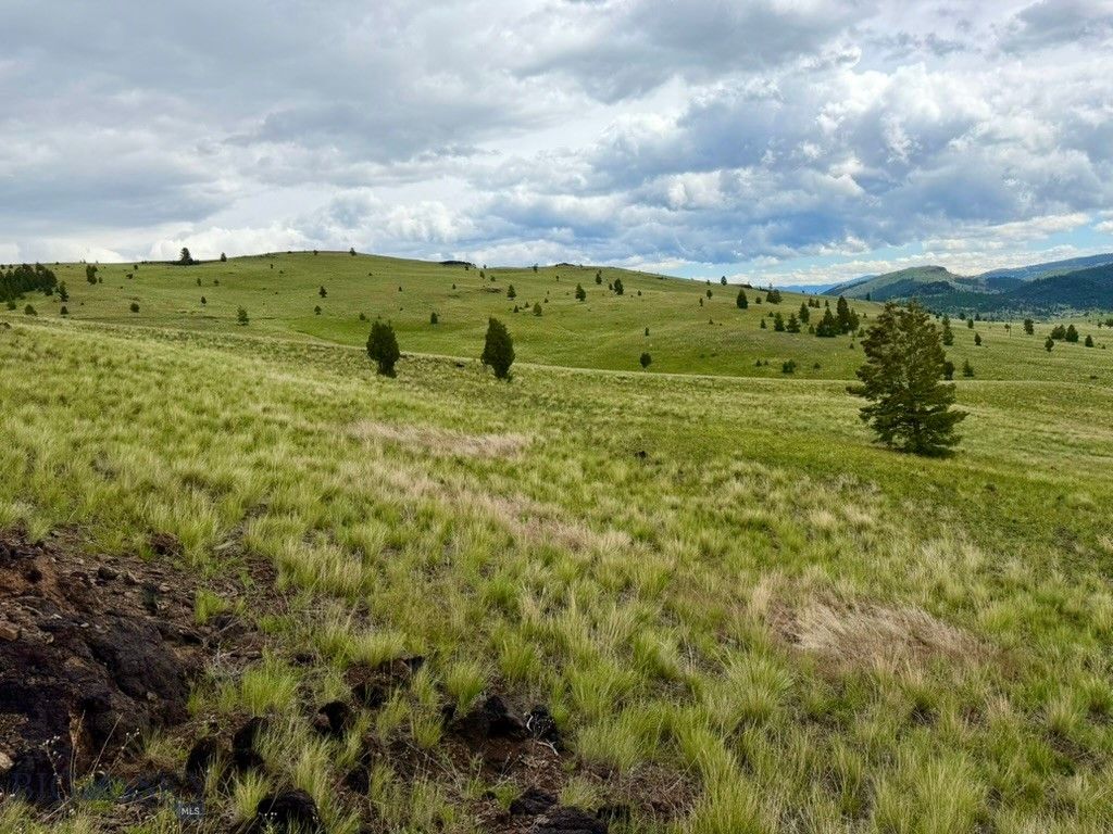 3072 Wildhorse Meadow, Ramsay, MT 59748 — photo 4