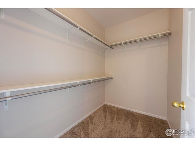 1215 Fairfield Ave, Windsor, CO 80550