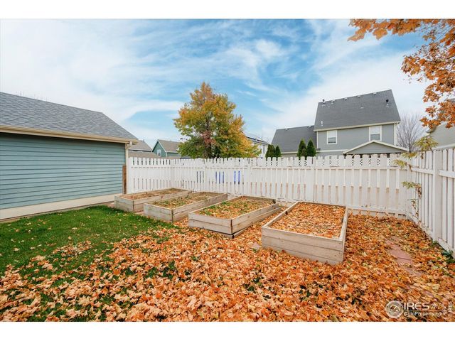 1215 Fairfield Ave, Windsor, CO 80550