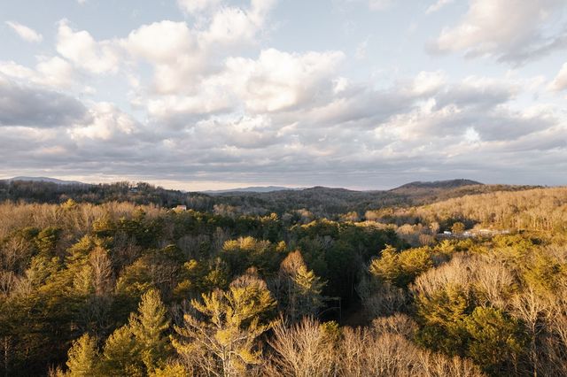 31 Highland Hammock Drive, Blue Ridge, GA 30513