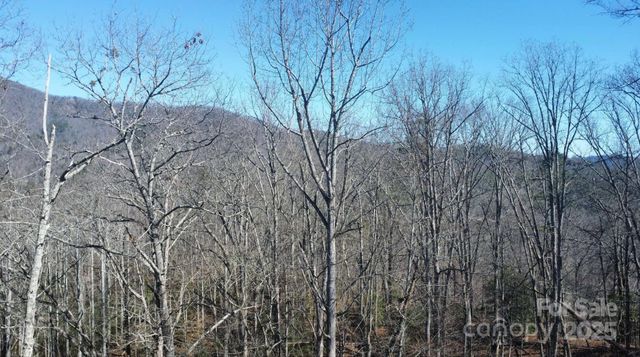 000 Hornet Drive, Whittier, NC 28789