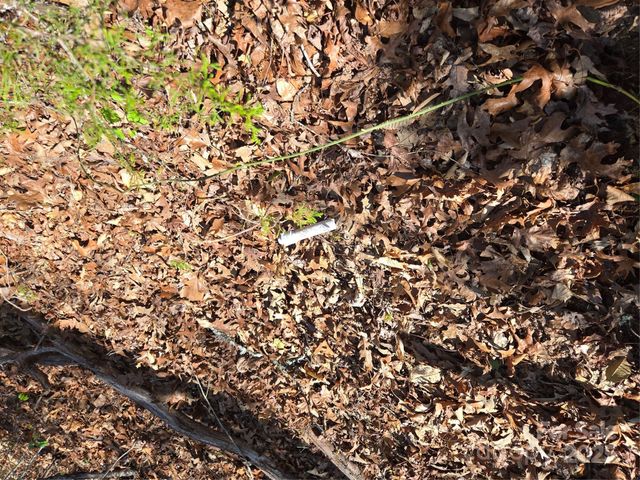 000 Hornet Drive, Whittier, NC 28789