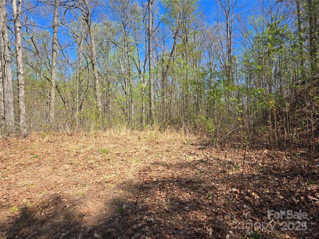 000 Hornet Drive, Whittier, NC 28789