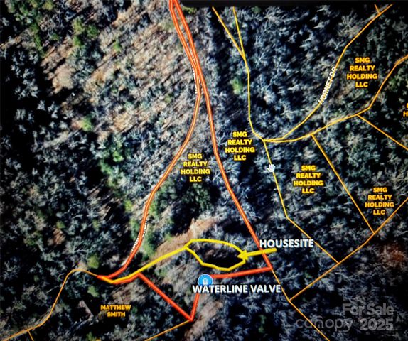 000 Hornet Drive, Whittier, NC 28789