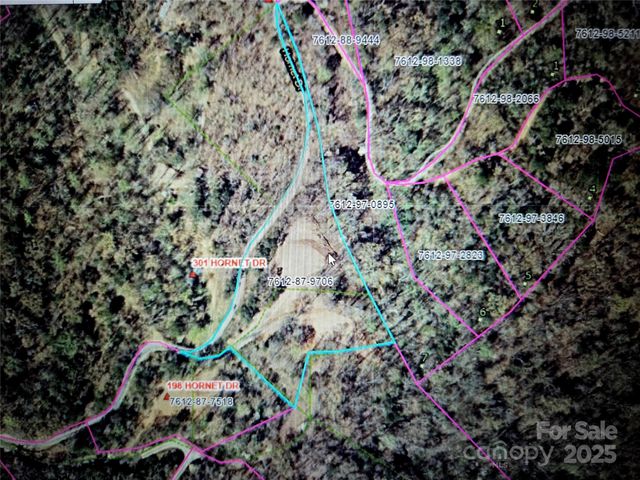 000 Hornet Drive, Whittier, NC 28789