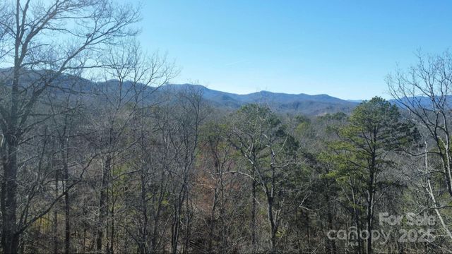 000 Hornet Drive, Whittier, NC 28789