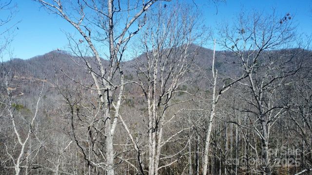 000 Hornet Drive, Whittier, NC 28789