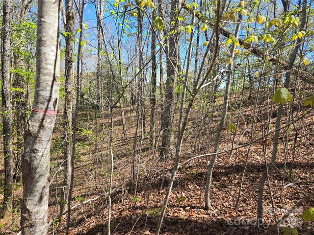 000 Hornet Drive, Whittier, NC 28789