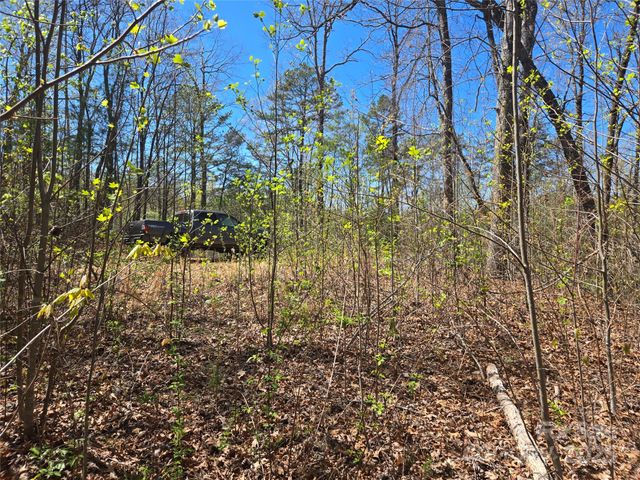 000 Hornet Drive, Whittier, NC 28789