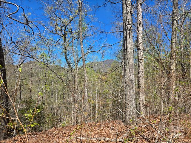 000 Hornet Drive, Whittier, NC 28789