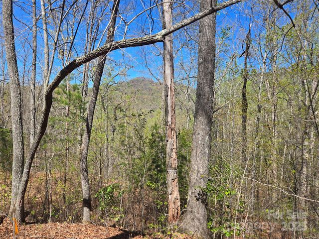 000 Hornet Drive, Whittier, NC 28789