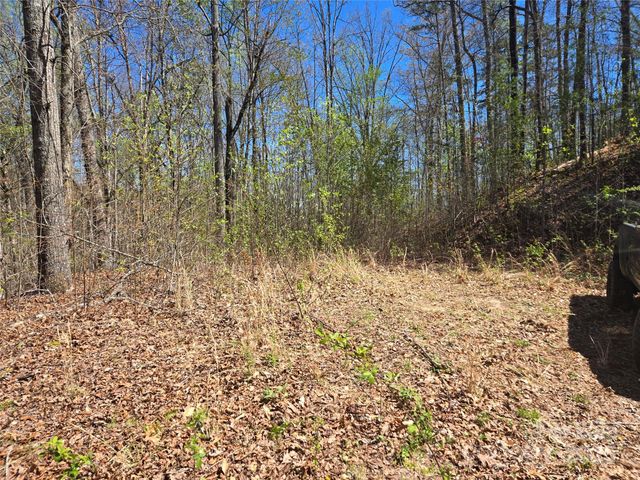 000 Hornet Drive, Whittier, NC 28789