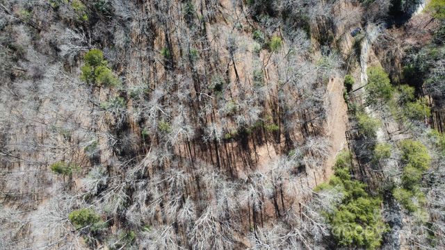 000 Hornet Drive, Whittier, NC 28789