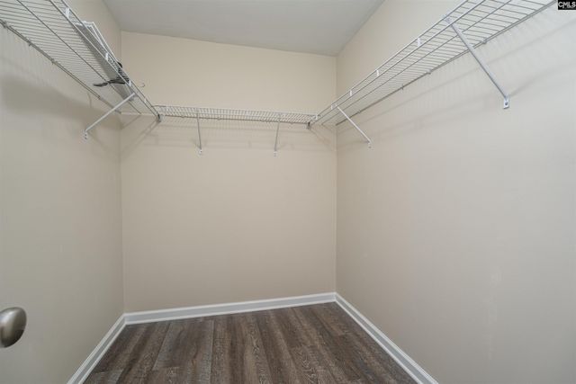 408 Saluda Springs Road, Lexington, SC 29072