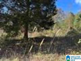 580 COUNTY ROAD 209, Heflin, AL 36264