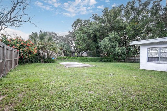 1330 PALM DRIVE, Mount Dora, FL 32757