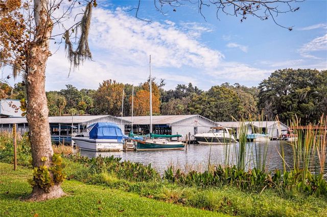 1330 PALM DRIVE, Mount Dora, FL 32757