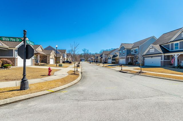 8512 Red Deer Lane, Ooltewah, TN 37363