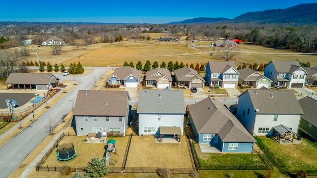 8512 Red Deer Lane, Ooltewah, TN 37363