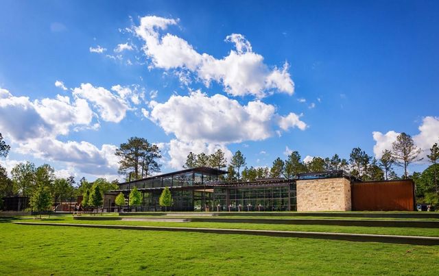 420 Flowering Lotus Court, Willis, TX 77318