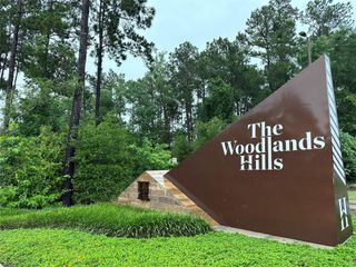 420 Flowering Lotus Court, Willis, TX 77318