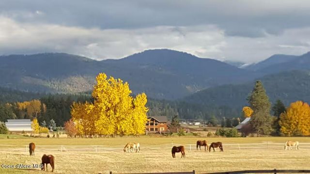 1255 Hickey Rd, Sandpoint, ID 83864