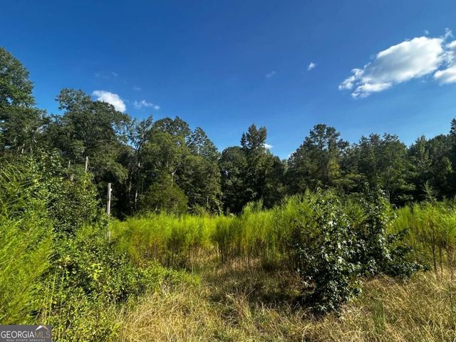 12345 Hamilton Road, Palmetto, GA 30268