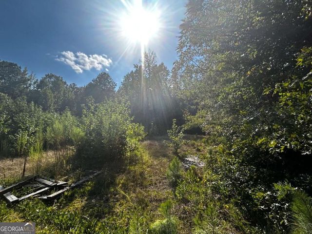 12345 Hamilton Road, Palmetto, GA 30268