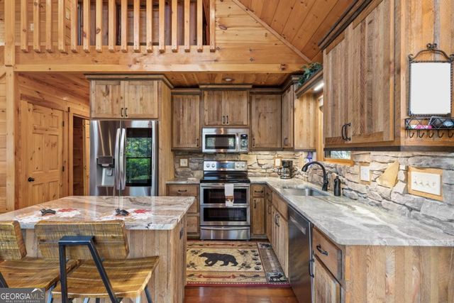 653 The Woods Road, Mineral Bluff, GA 30559