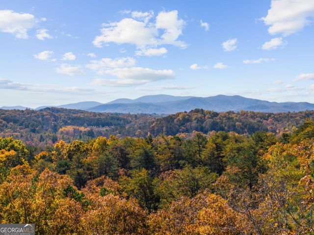 653 The Woods Road, Mineral Bluff, GA 30559