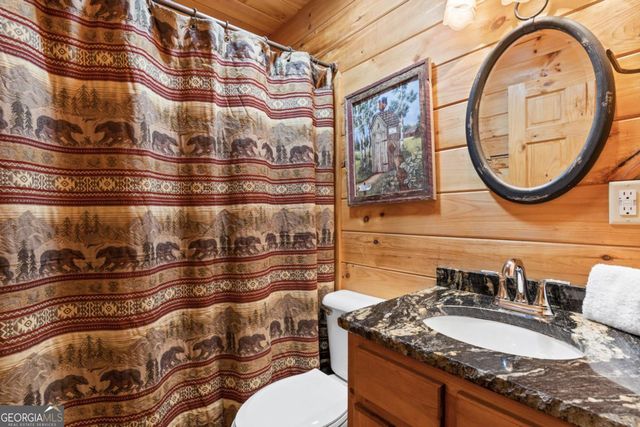 653 The Woods Road, Mineral Bluff, GA 30559