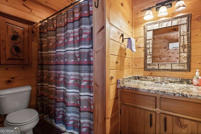 653 The Woods Road, Mineral Bluff, GA 30559