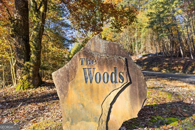 653 The Woods Road, Mineral Bluff, GA 30559