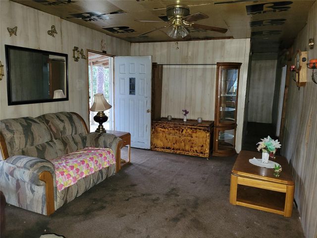101 Jamaica Avenue, Point Blank, TX 77364