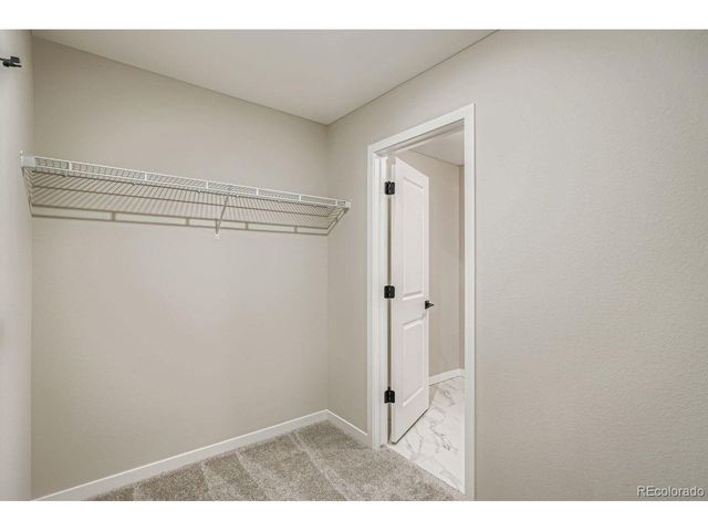 8406 Mount Ouray Rd, Littleton, CO 80125