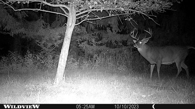 21478 County Hwy ZZ Road, Richland Center, WI 53581