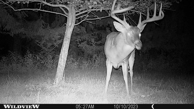 21478 County Hwy ZZ Road, Richland Center, WI 53581