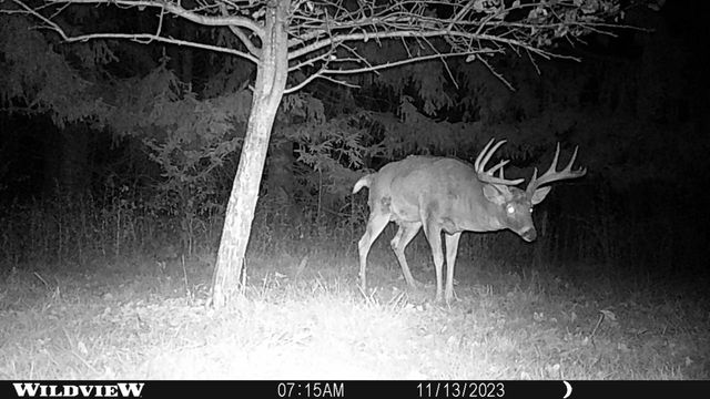 21478 County Hwy ZZ Road, Richland Center, WI 53581