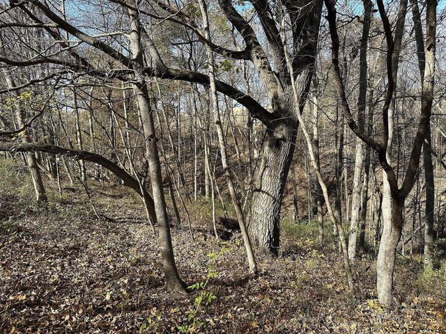 21478 County Hwy ZZ Road, Richland Center, WI 53581