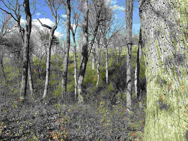 21478 County Hwy ZZ Road, Richland Center, WI 53581