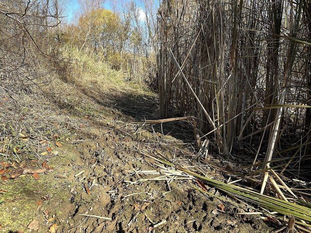 21478 County Hwy ZZ Road, Richland Center, WI 53581