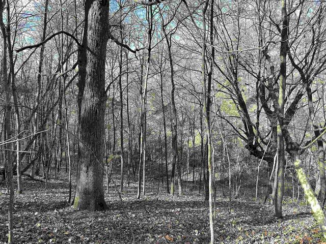 21478 County Hwy ZZ Road, Richland Center, WI 53581