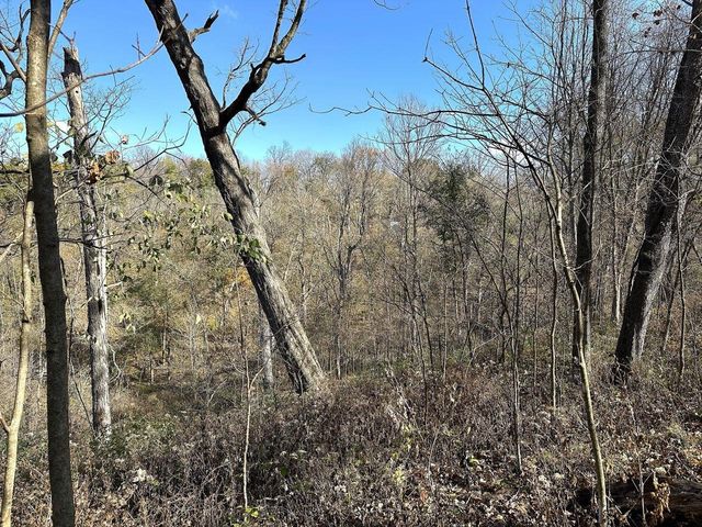 21478 County Hwy ZZ Road, Richland Center, WI 53581