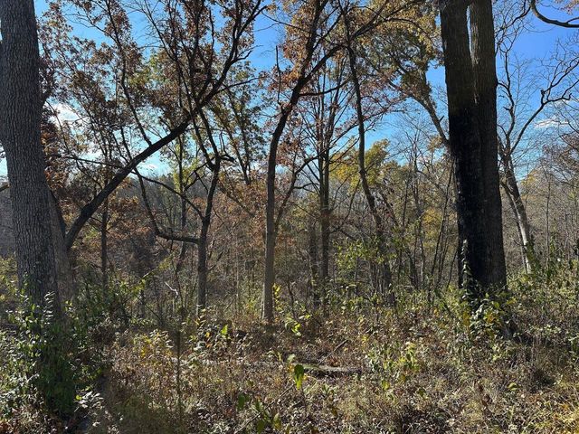 21478 County Hwy ZZ Road, Richland Center, WI 53581