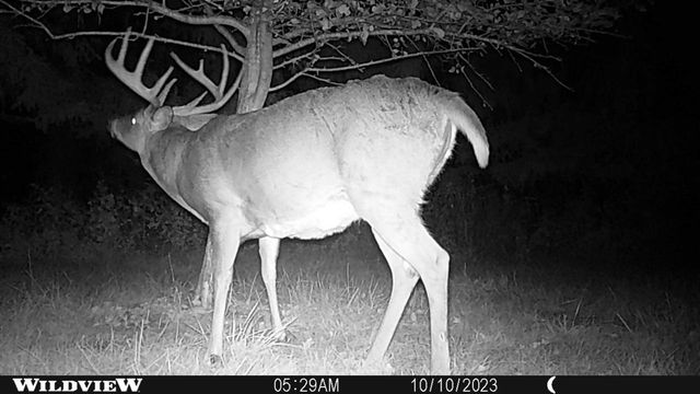 21478 County Hwy ZZ Road, Richland Center, WI 53581